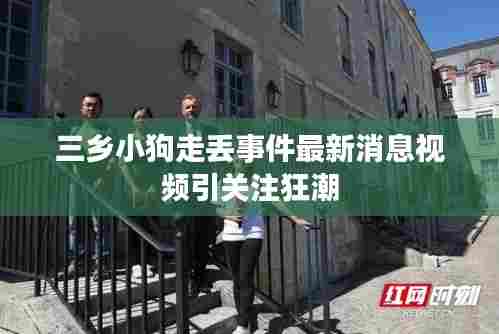 三乡小狗走丢事件最新消息视频引关注狂潮