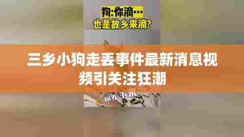三乡小狗走丢事件最新消息视频引关注狂潮