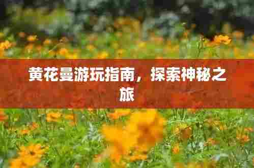 黄花曼游玩指南,探索神秘之旅