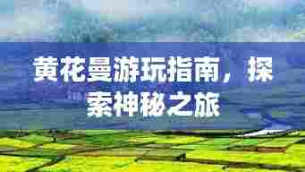 黄花曼游玩指南,探索神秘之旅