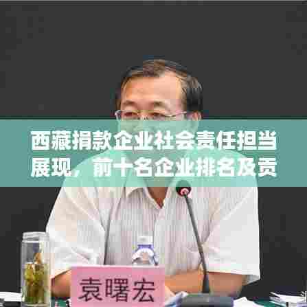 西藏捐款企业社会责任担当展现,前十名企业排名及贡献盘点