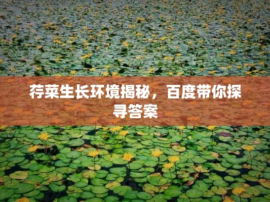 荇菜生长环境揭秘,百度带你探寻答案